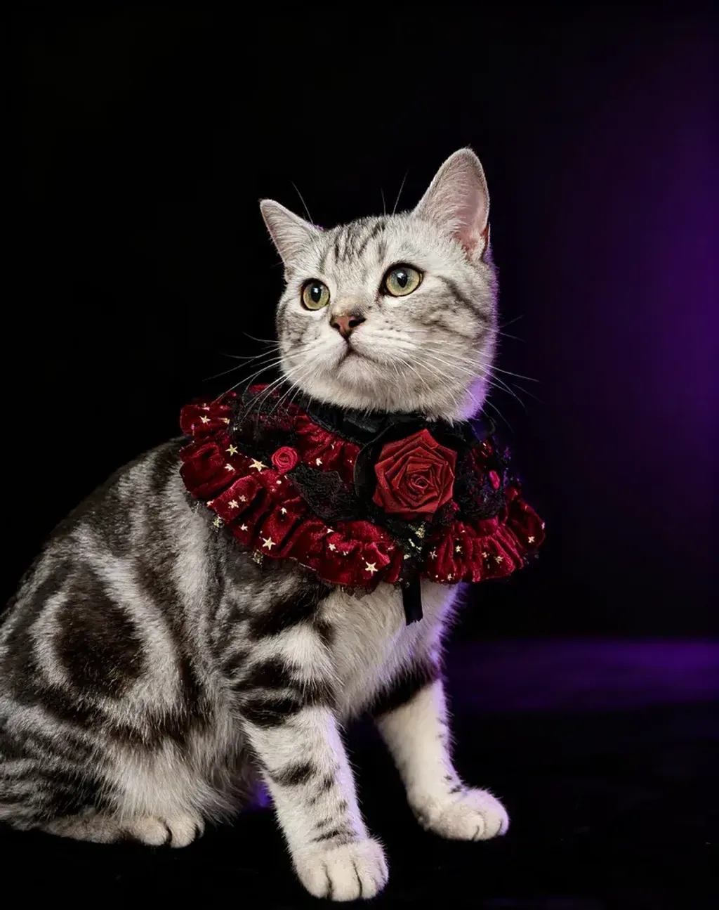 Royal Countess of Rose Scarf (With red starry fabric) 4