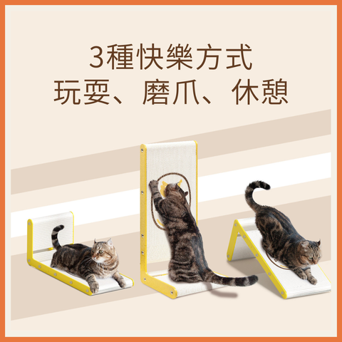 Premium Scratching Board 2