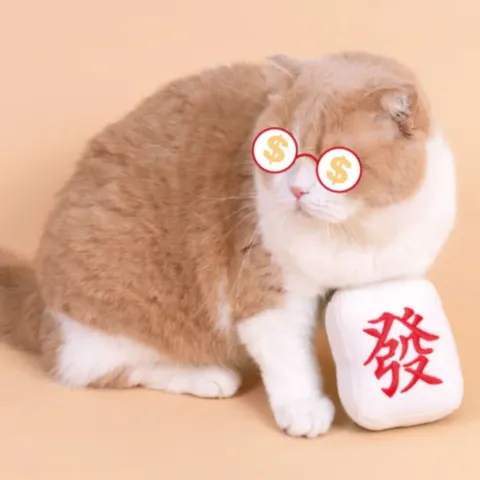 Mahjong Cat Toy