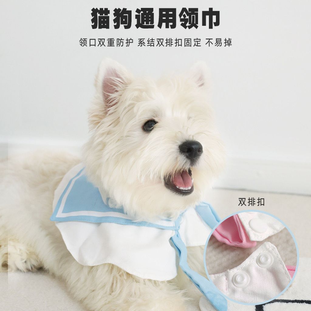 Kindergarten Pet Scarf 2