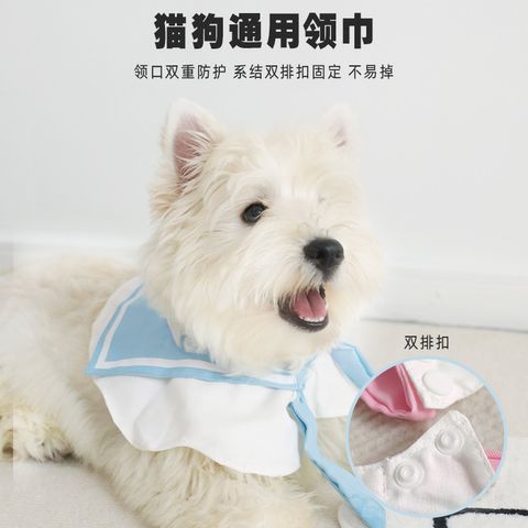 Kindergarten Pet Scarf 2