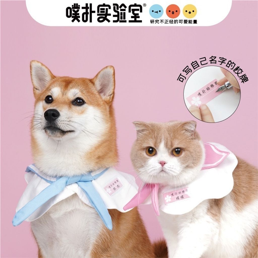 Kindergarten Pet Scarf