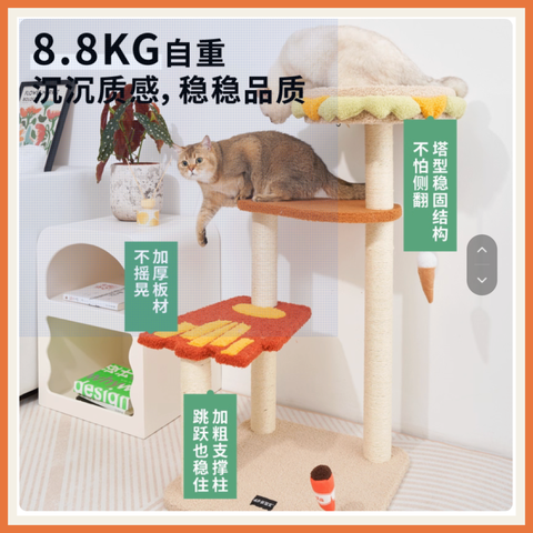 Family Bucket Cat Climbing Frame 2