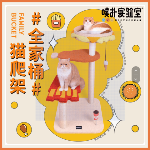 Family Bucket Cat Climbing Frame 1