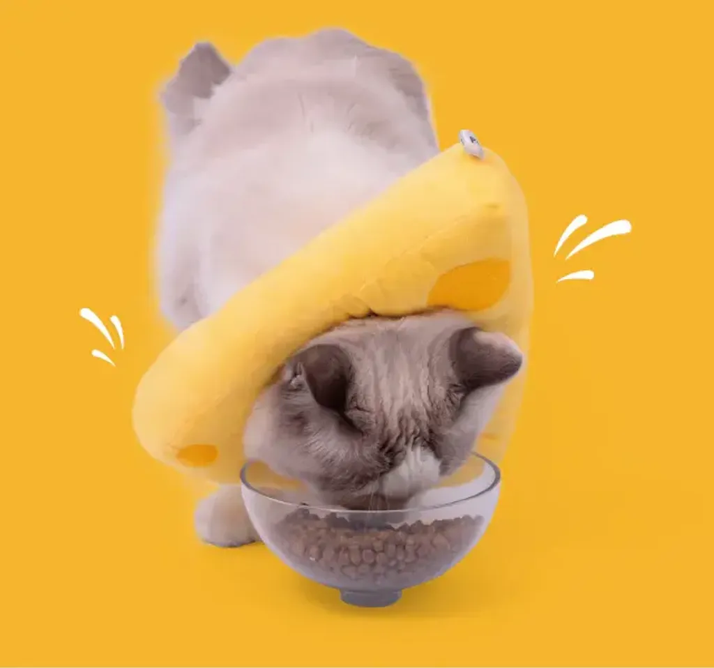 Cheese Elizabeth Circle 4