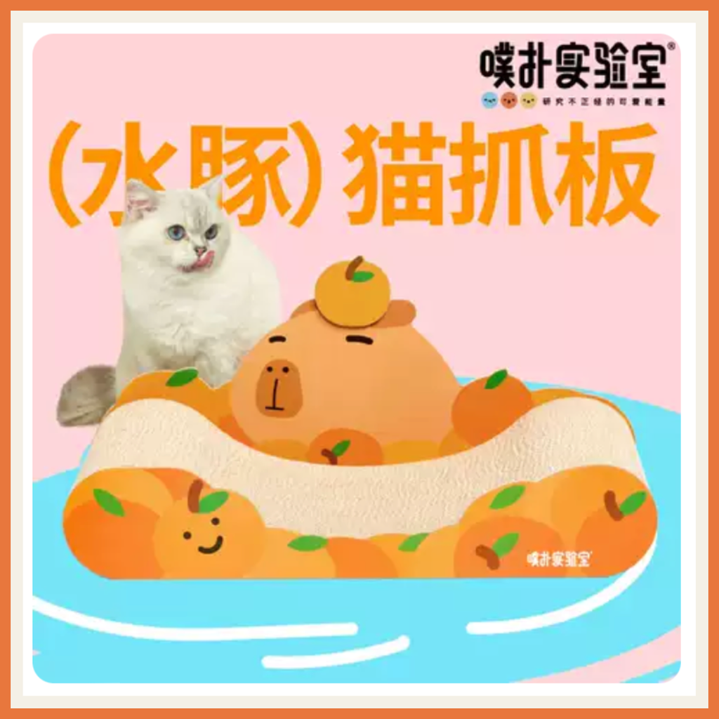 Capybara Scratch Board 1