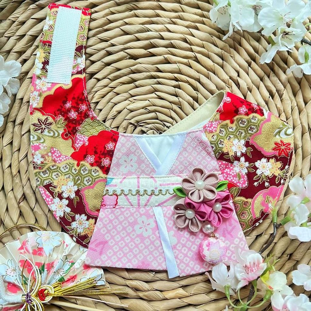 SnapInsta.to_514347100_18464152009072368_5586528321486201152_n