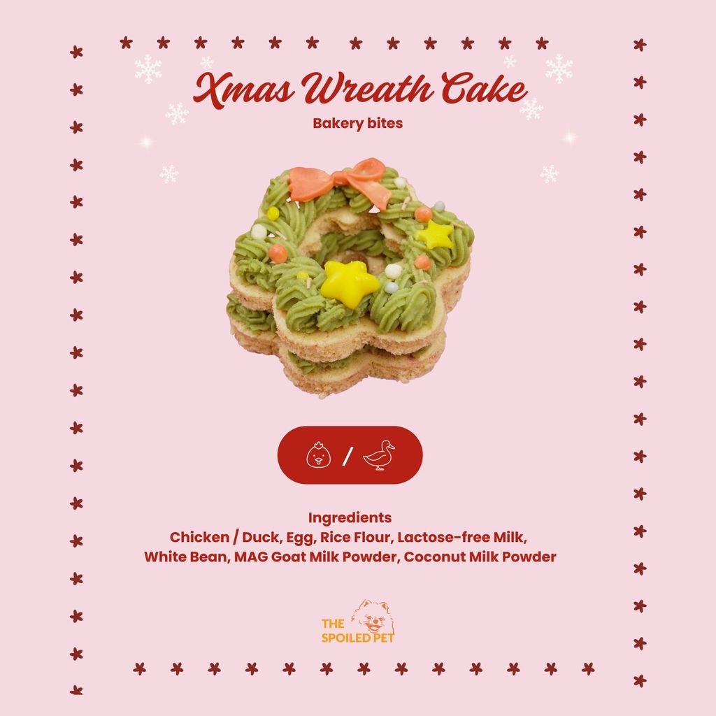 WhatsApp Image 2025-11-26 at 6.09.38 PM