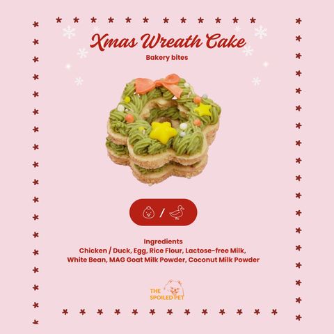 WhatsApp Image 2025-11-26 at 6.09.38 PM