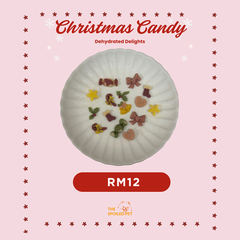 10 x 10 厘米_20251209_191026_0000