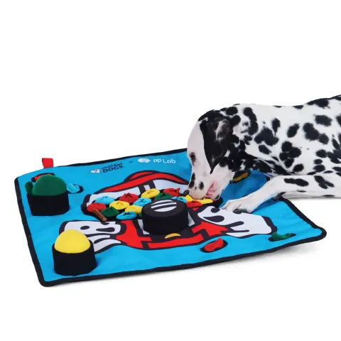 PP Lab - matsui playmat (big) 2