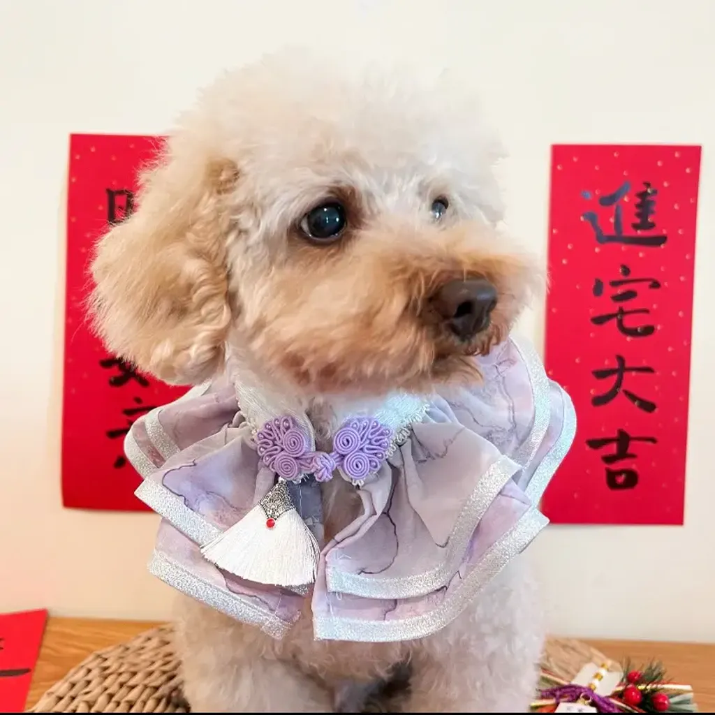 水墨中式披紗（紫色配白銀邊）3