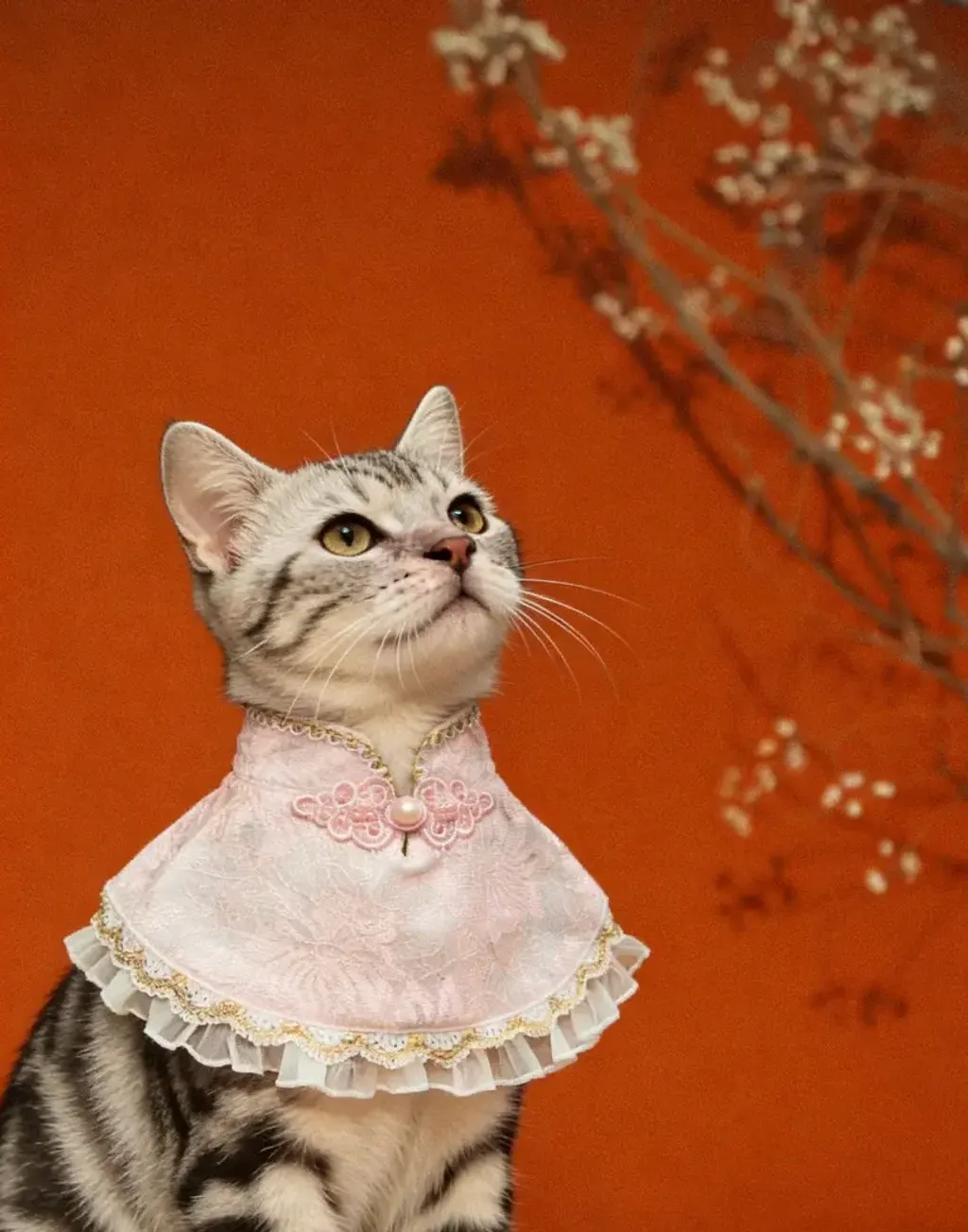 優雅蕾絲旗袍圍巾（粉紅色）3