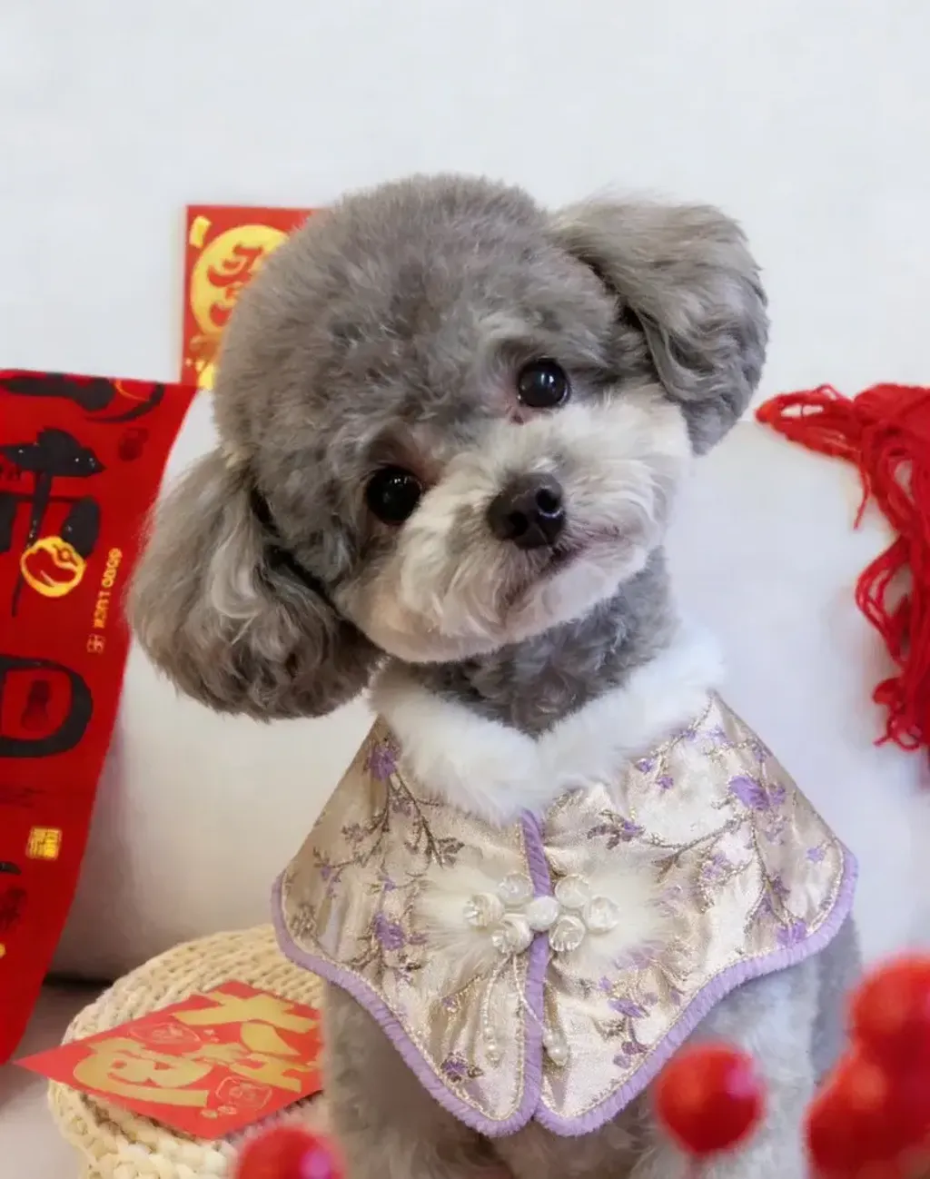 中式紫梅花披肩