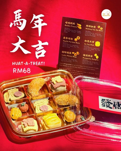 WhatsApp Image 2026-01-09 at 4.08.46 PM