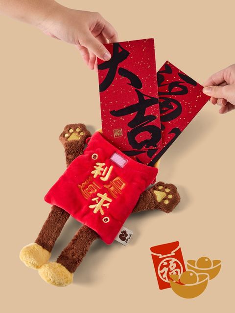 WhatsApp Image 2026-01-17 at 12.02.22 PM