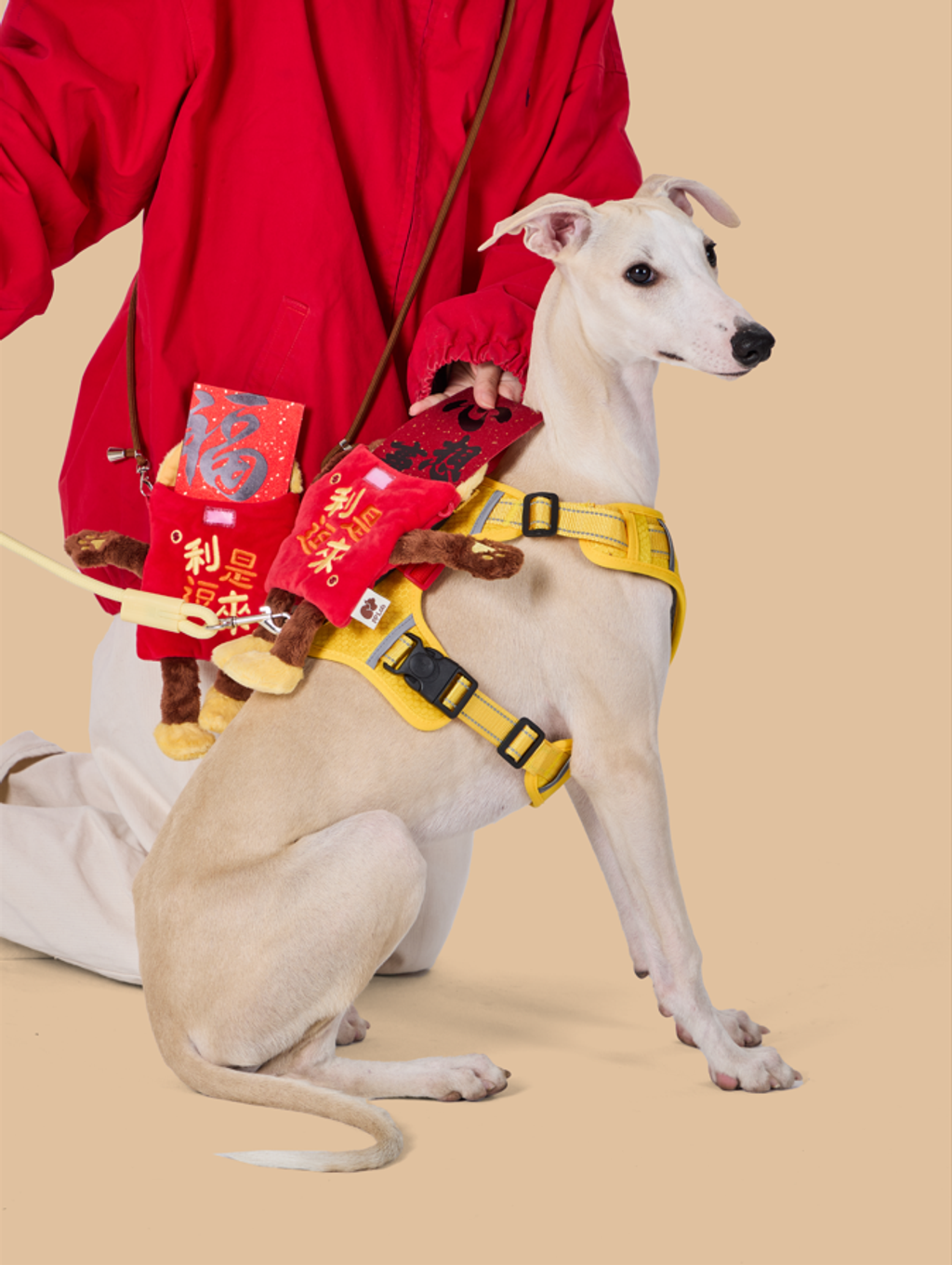 螢幕擷取畫面 2026-01-17 122119