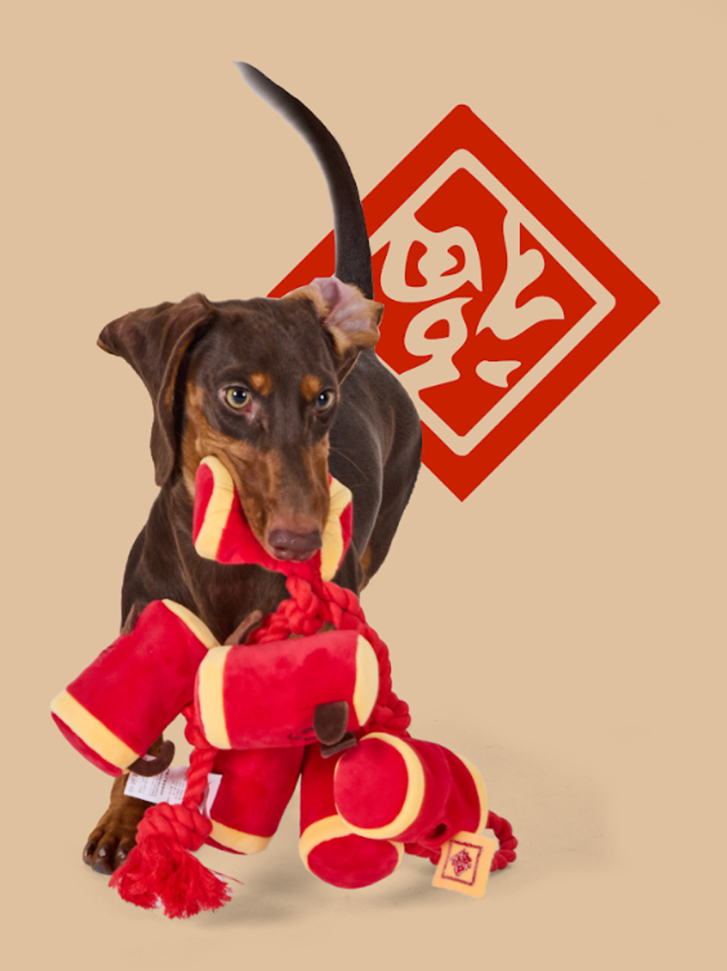 螢幕擷取畫面 2026-01-17 123222