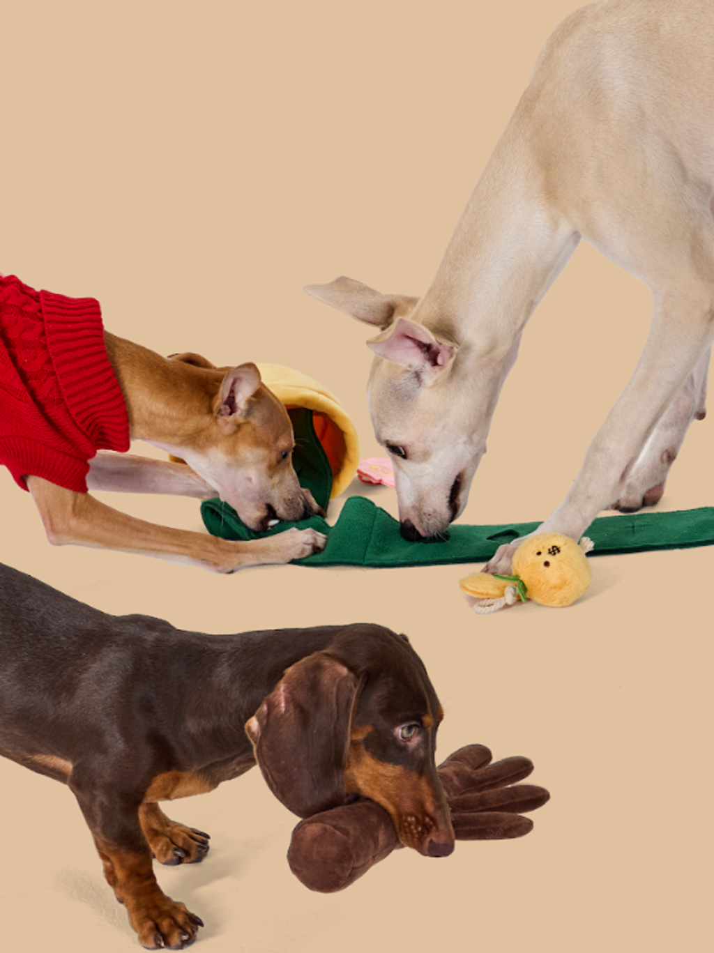 螢幕擷取畫面 2026-01-17 123949