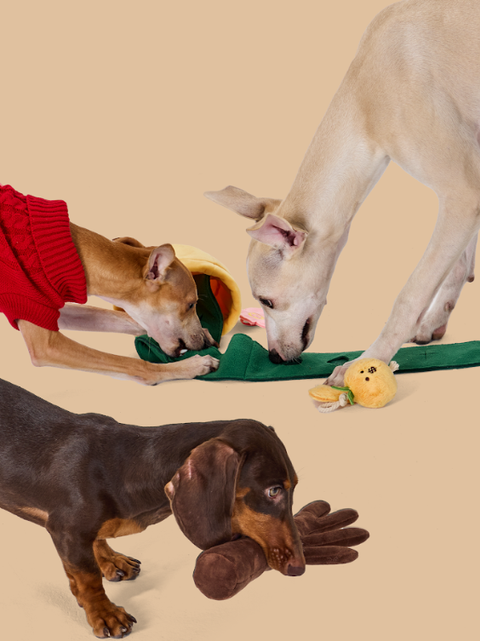 螢幕擷取畫面 2026-01-17 123949