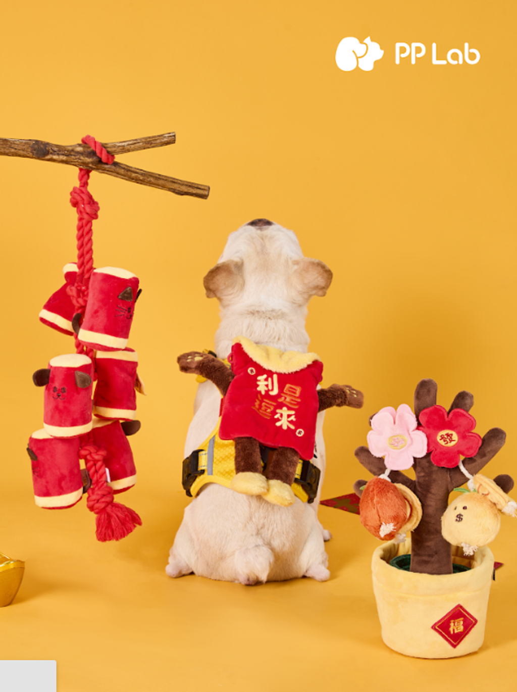 螢幕擷取畫面 2026-01-17 122524