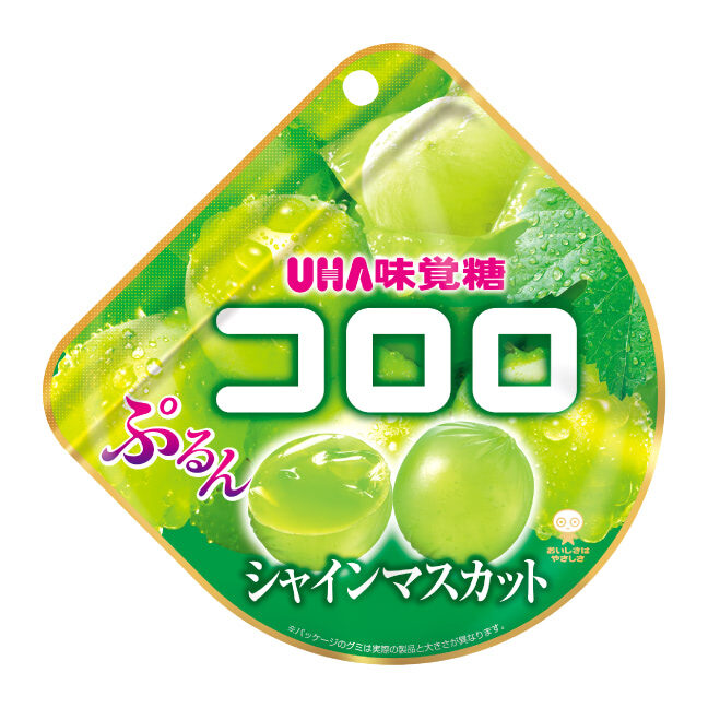 W-JP-SN-0001_1