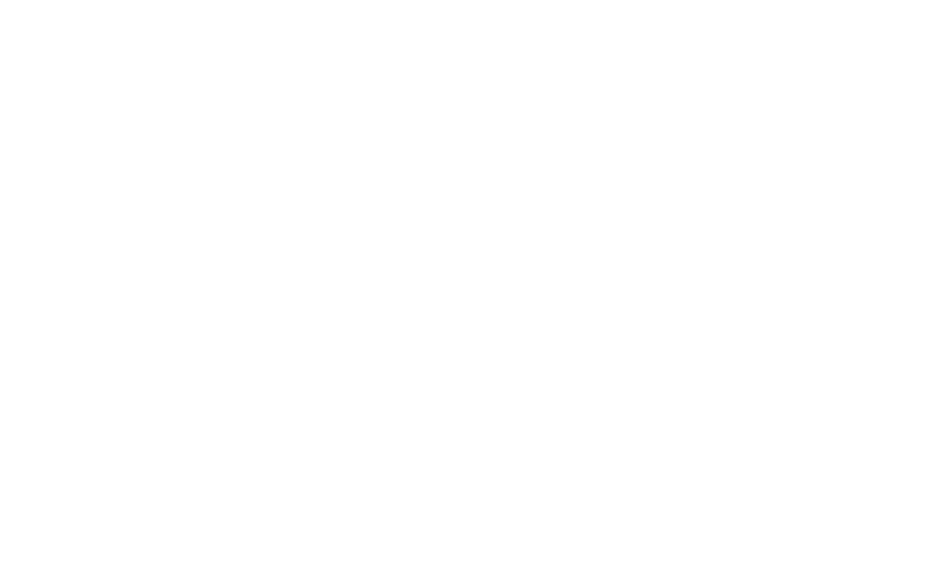 diary Magazine