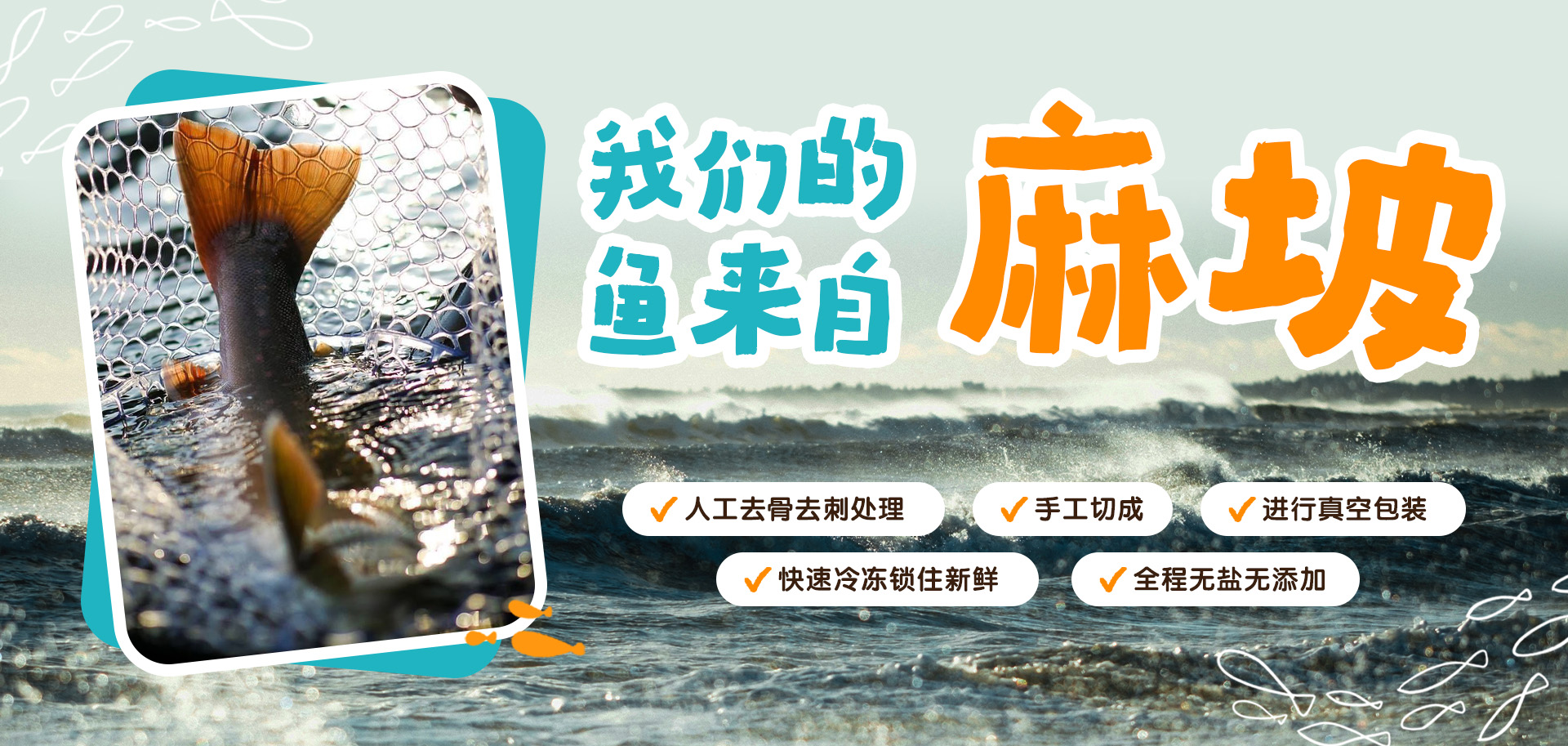 fish web content 03