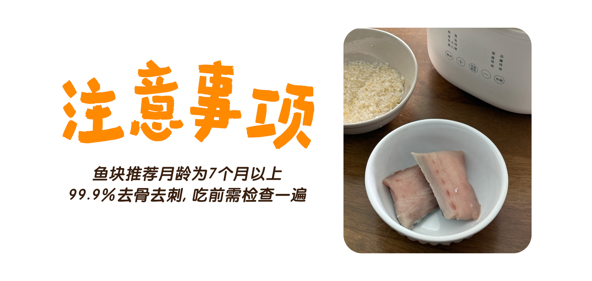 fish web content 04