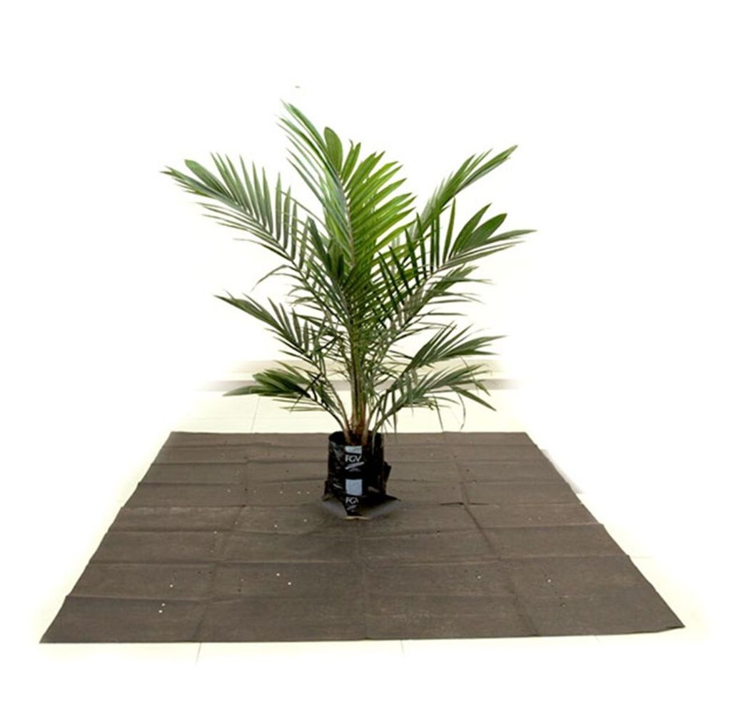 Fertiliser Mat Application