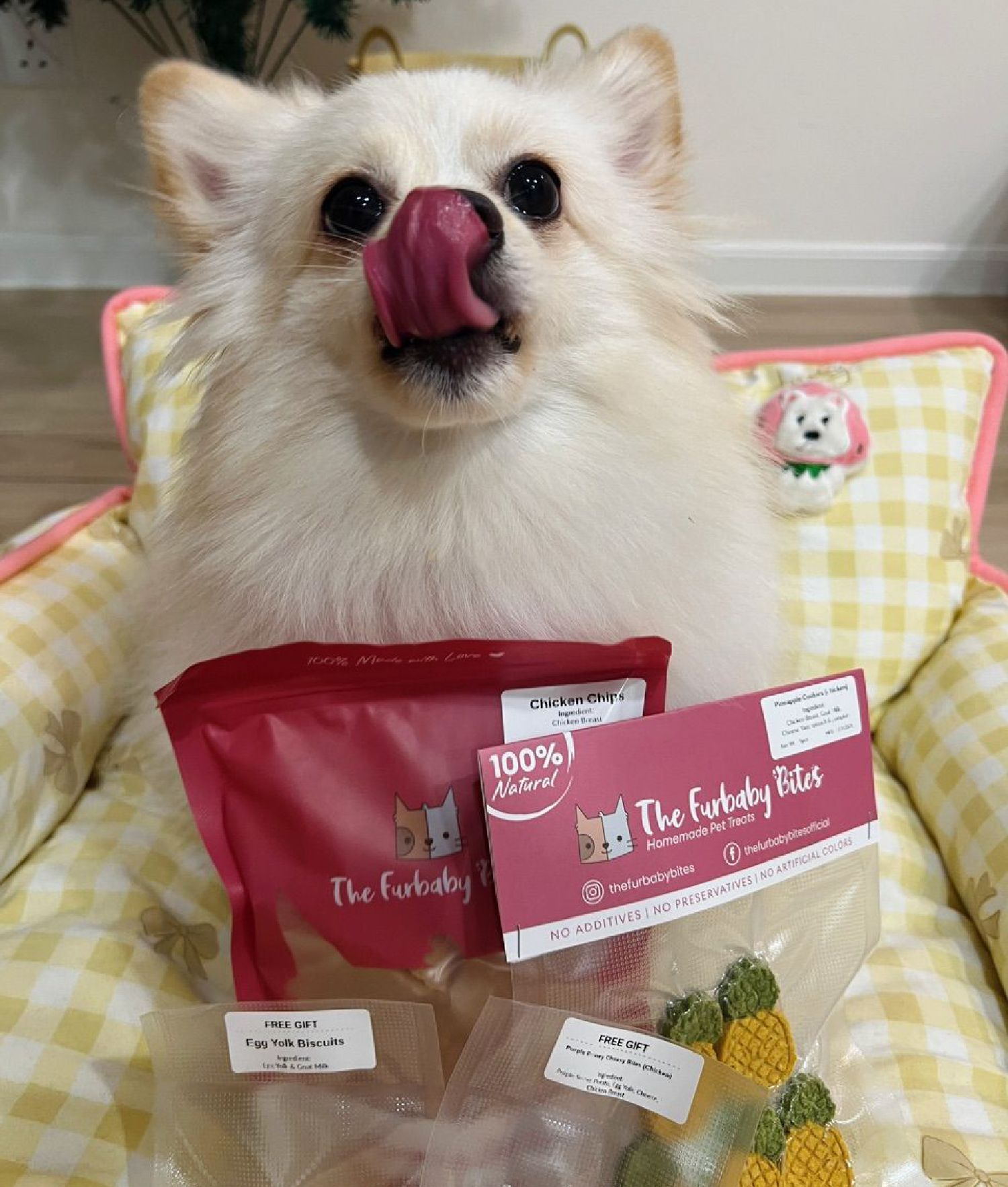 The Furbaby Bites - doreexxx