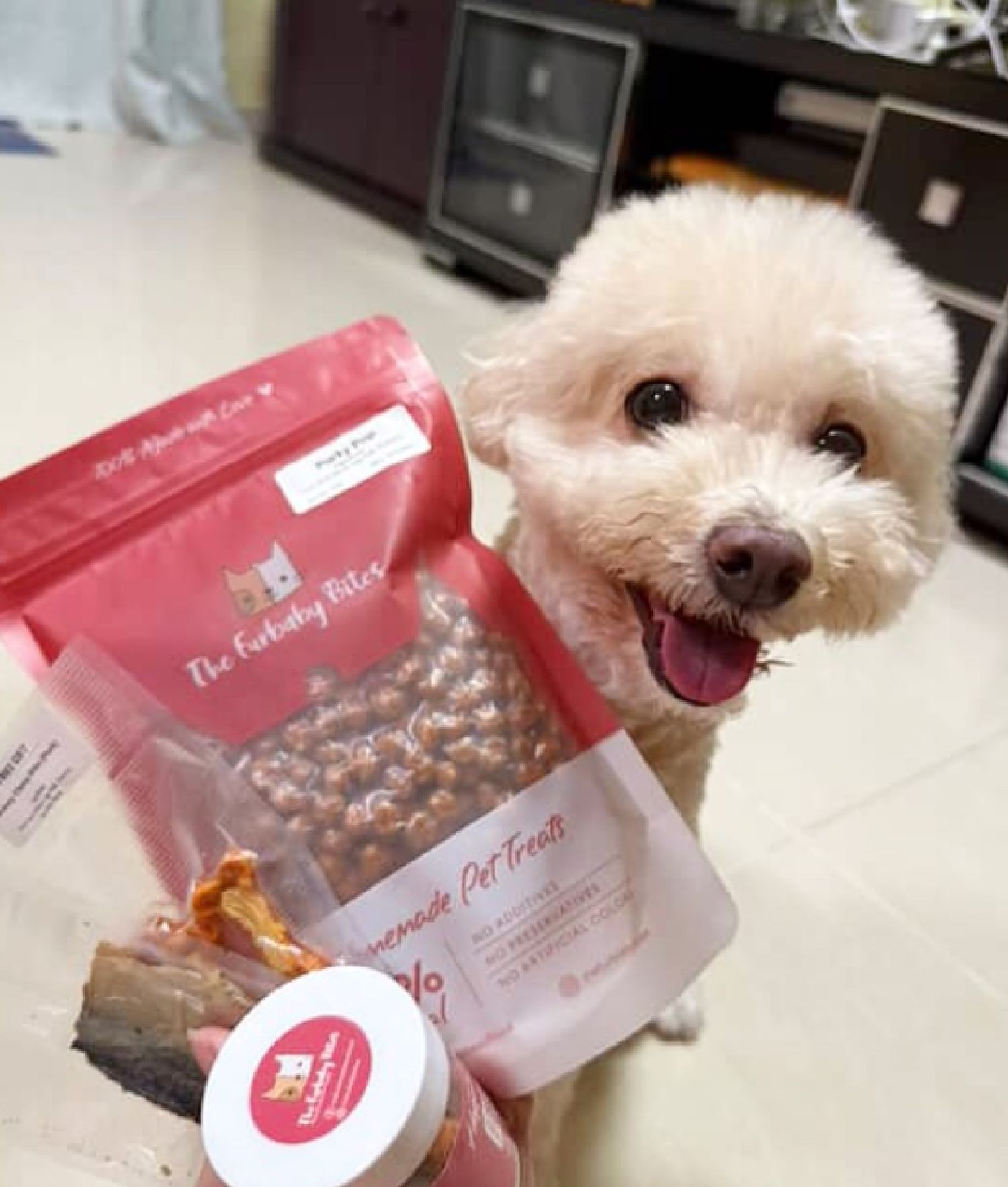The Furbaby Bites - LYxx