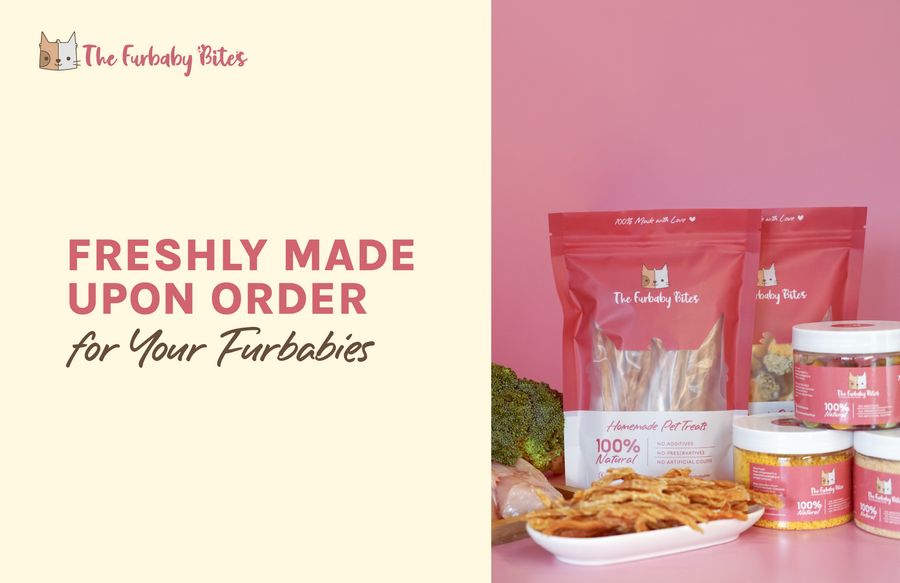 The Furbaby Bites | 