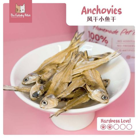 my-11134207-7rash-ma568492t4iz50