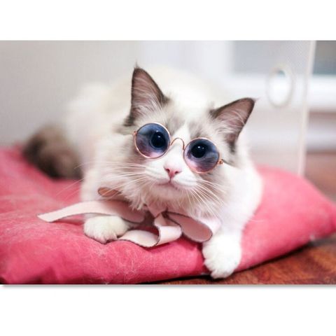 7835c322e1be021f0779410516bb9c4c