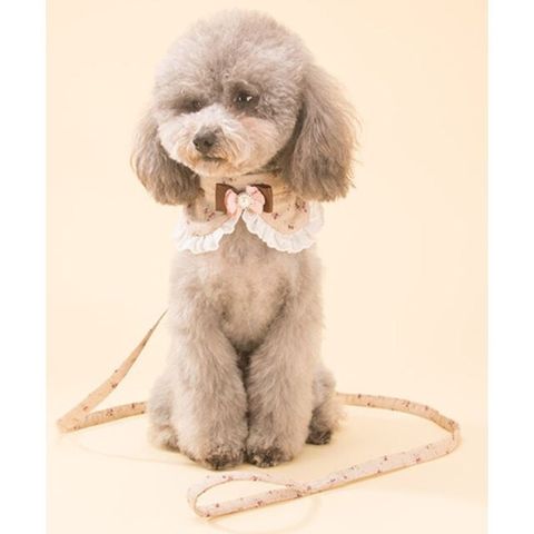 3e8d26d290fb4208ae1590341a5b6a52