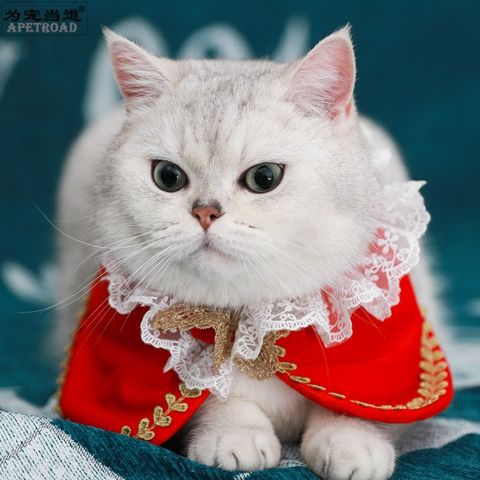 155c3dafbea050760696e1475bfa3ee1