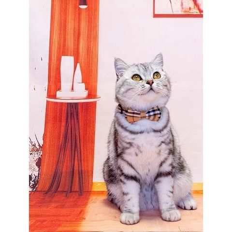 4b44f396cb7b4f3936120857125e2489