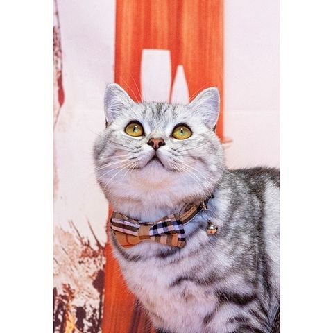 2a1f1ee993e2bd584db67e34041f0c33