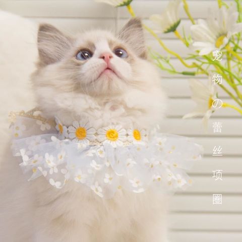 a5be886510b7980a8741f0f4fa9b2568