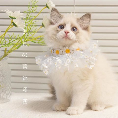 fa89124b5bdef30f24c715c26a7c1bf7