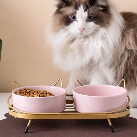 a9ce61c32ba4647137cd7cbe47f1a993