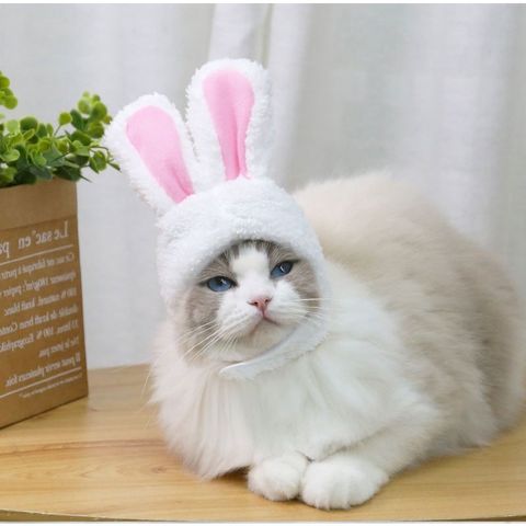 fc3b9d742589f327c021e03578f0c3ff