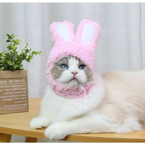 b31619d33e1eca1913b4a84aebb22ad1