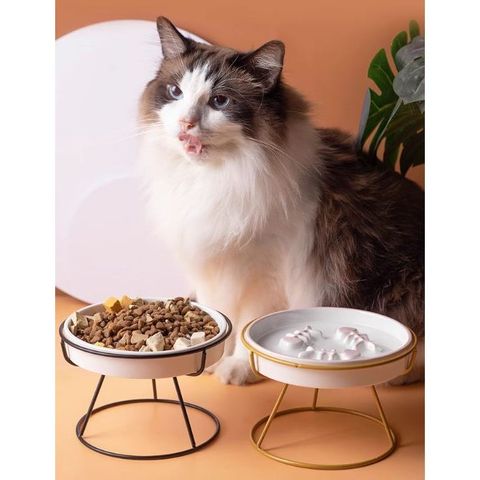 my-11134207-7r990-ln34a1r1oljve7