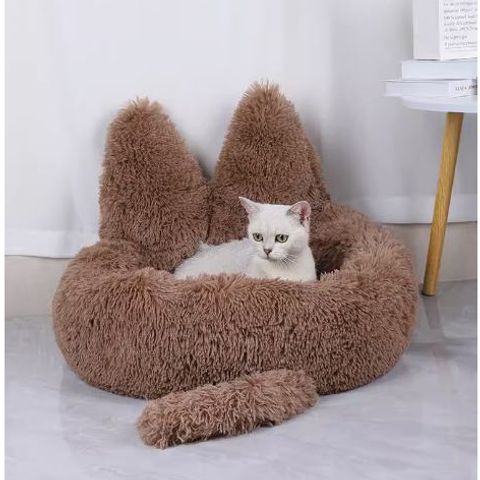 my-11134207-7qul0-ljebcre7utlvf9