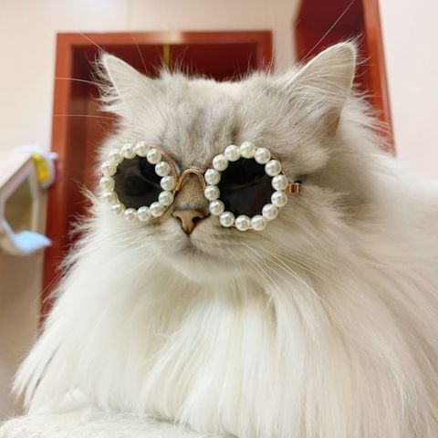 2b6742510841693151c041705a8c0e5e