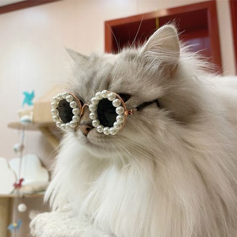 d0f42596f2f7fdbf99bff7c1d1d3b3ee