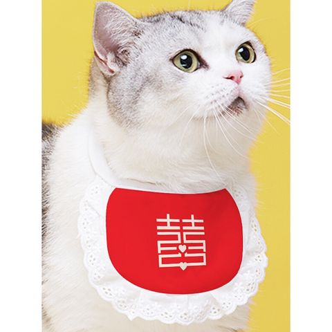 31e0f0f552835d81bc689c43fd15a647