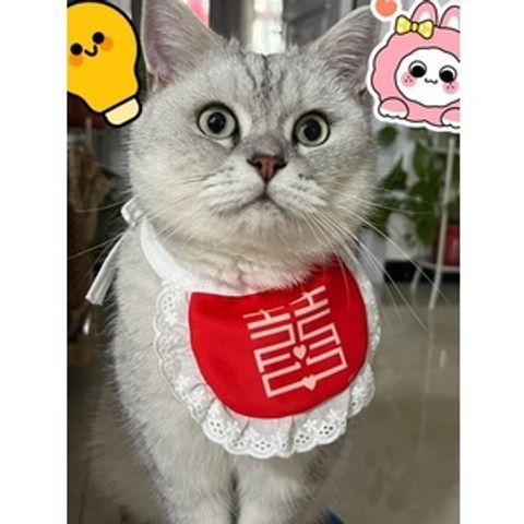 fe4a22b1a59833fee9c4dbd319dcecb5